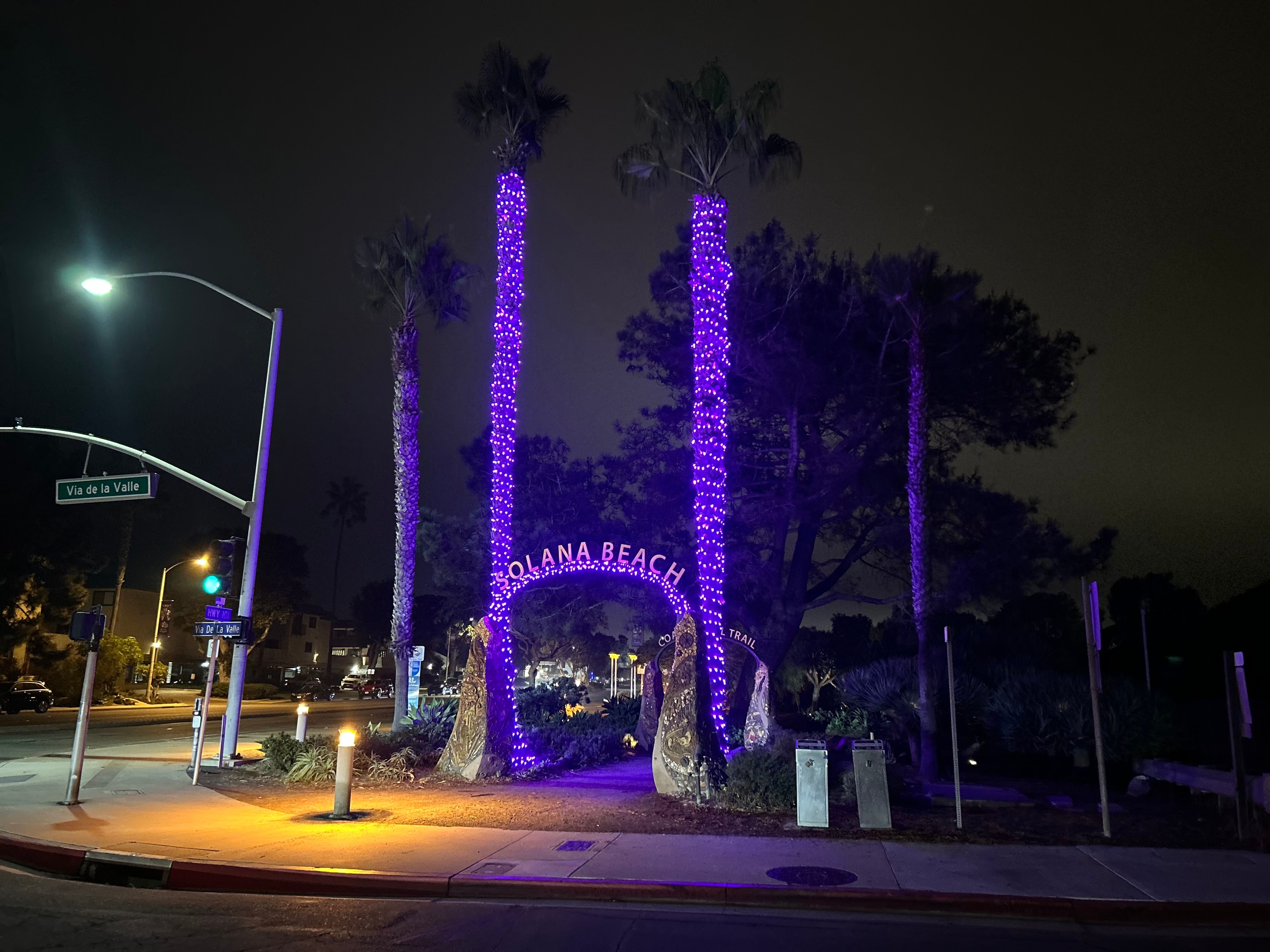 Luxury home with palm tree lighting