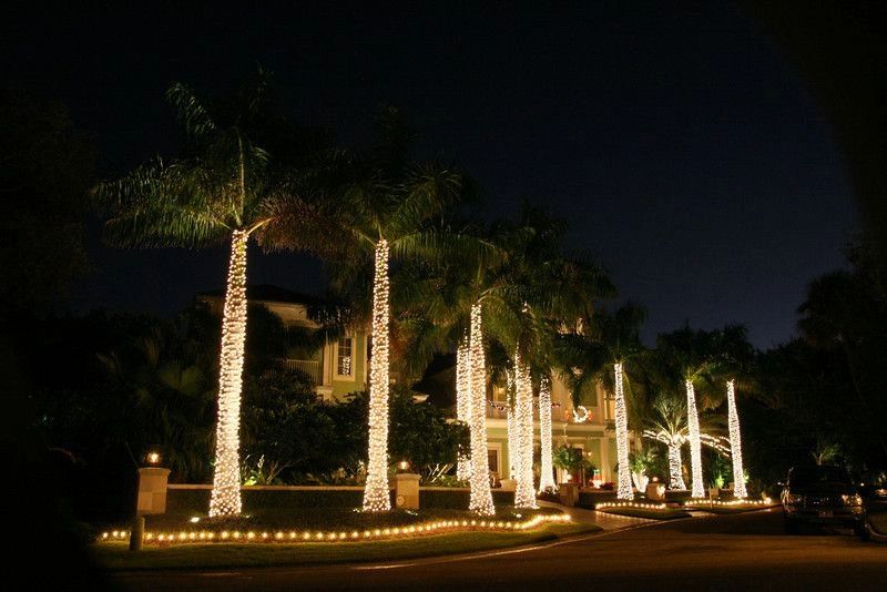 Luxury home with palm tree lighting